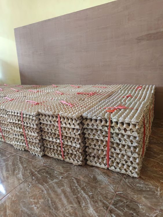Kolaborasi MDS Coop dengan Anggota melalui Usaha Peternakan Puyuh
